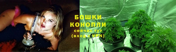 МДПВ Богородицк