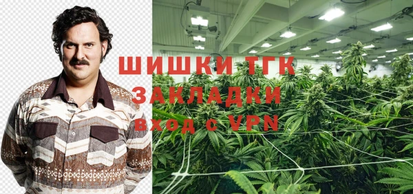 стафф Богданович