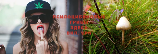 кокаин Бородино