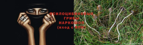 кокаин Бородино