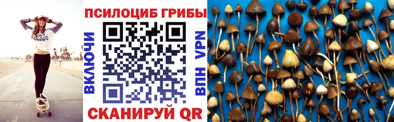 Псилоцибиновые грибы Psilocybe  Старица 